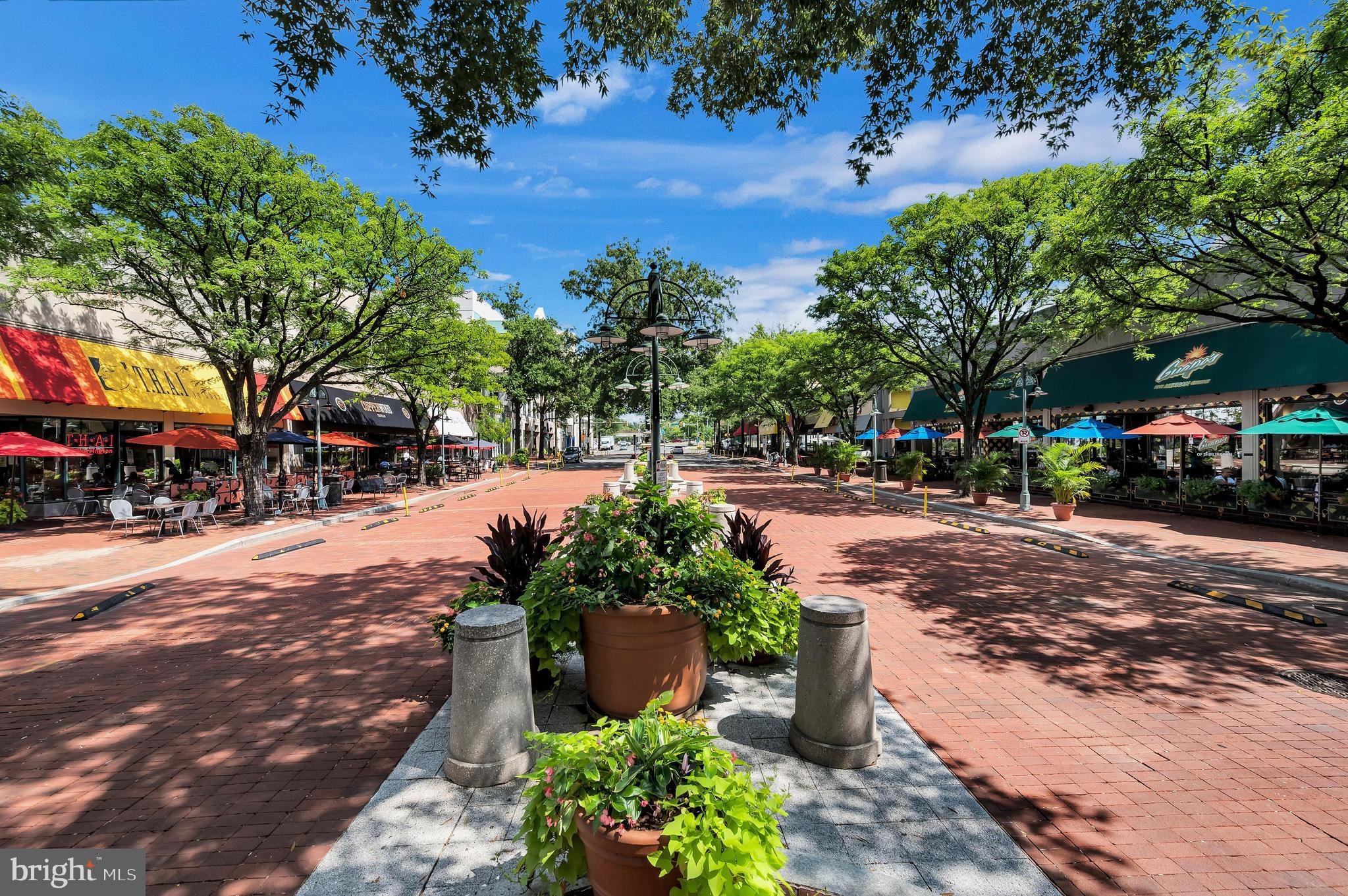 BOWMANS HILL - Residential Lease