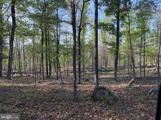 SILER HEIGHTS - Land