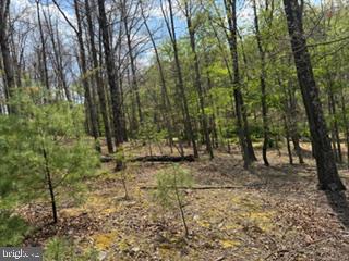 SILER HEIGHTS - Land