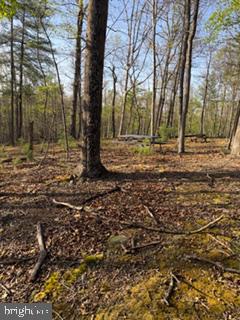 SILER HEIGHTS - Land