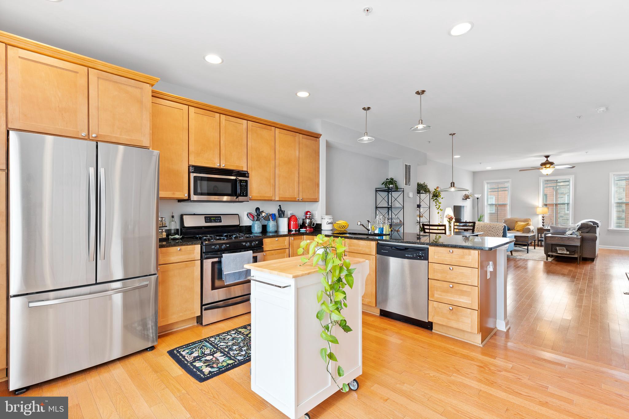 LOCUST POINT - Residential