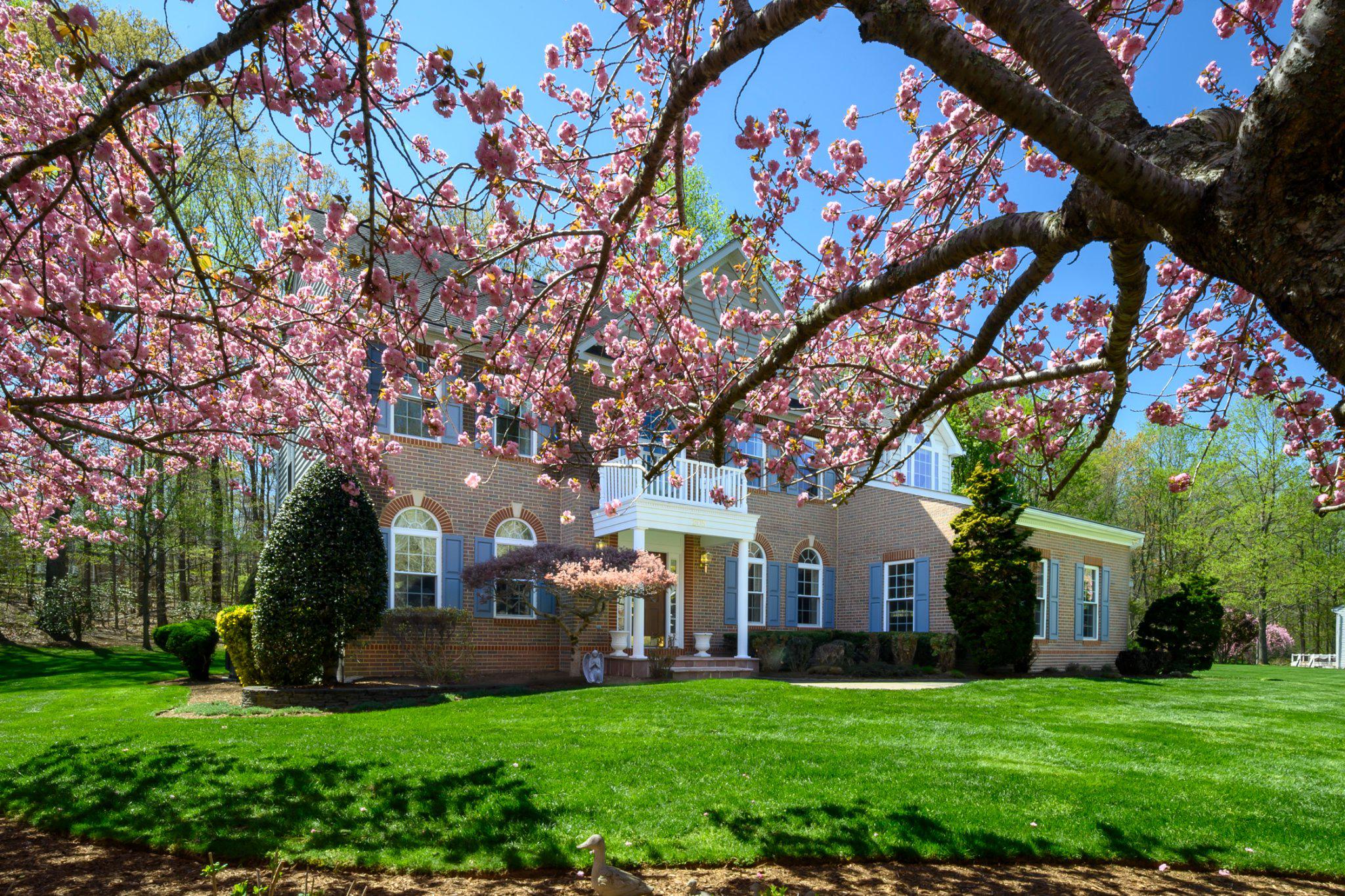 205 MAPLE CREEK LANE