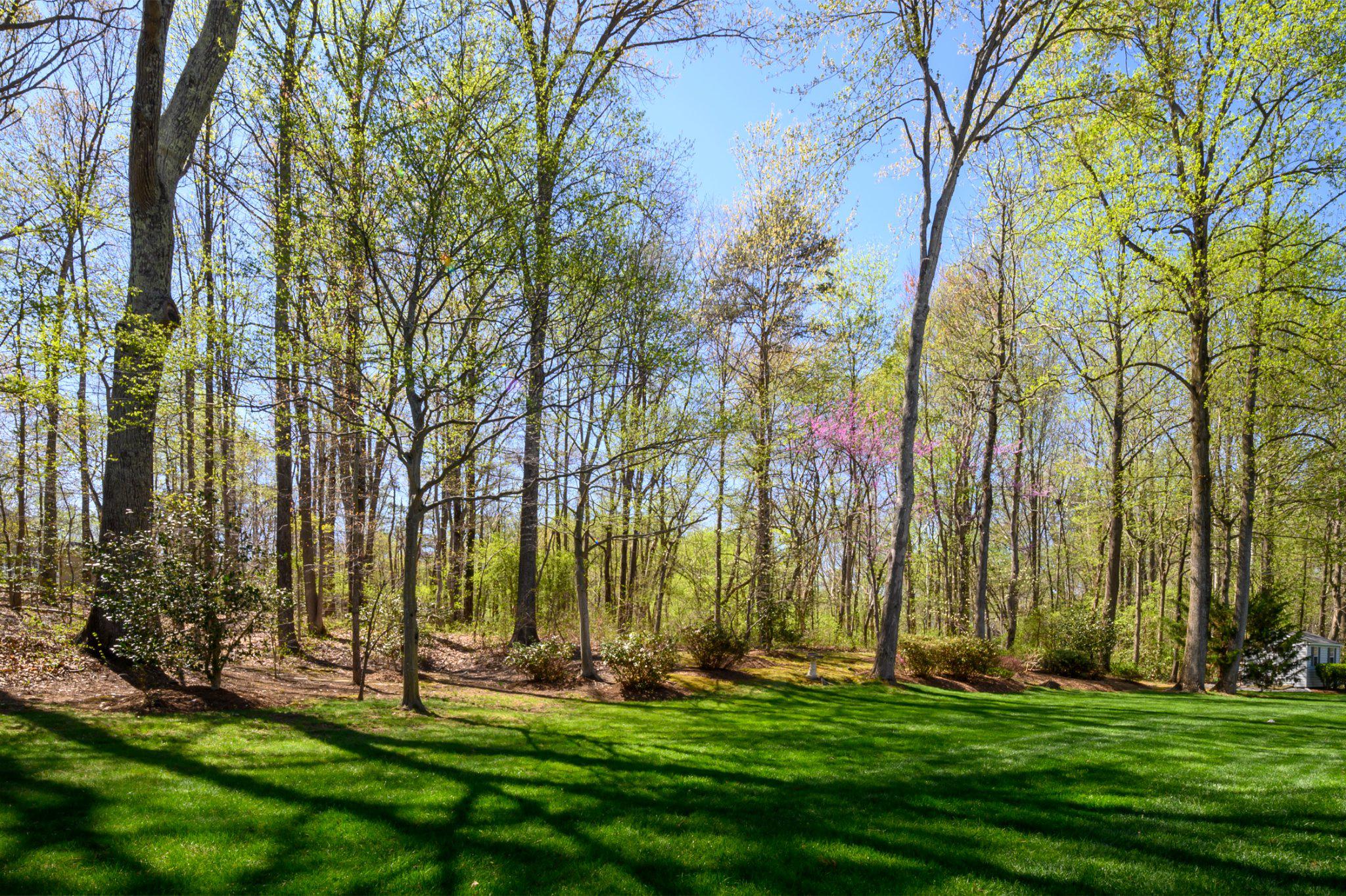 MAPLE CREEK - Residential