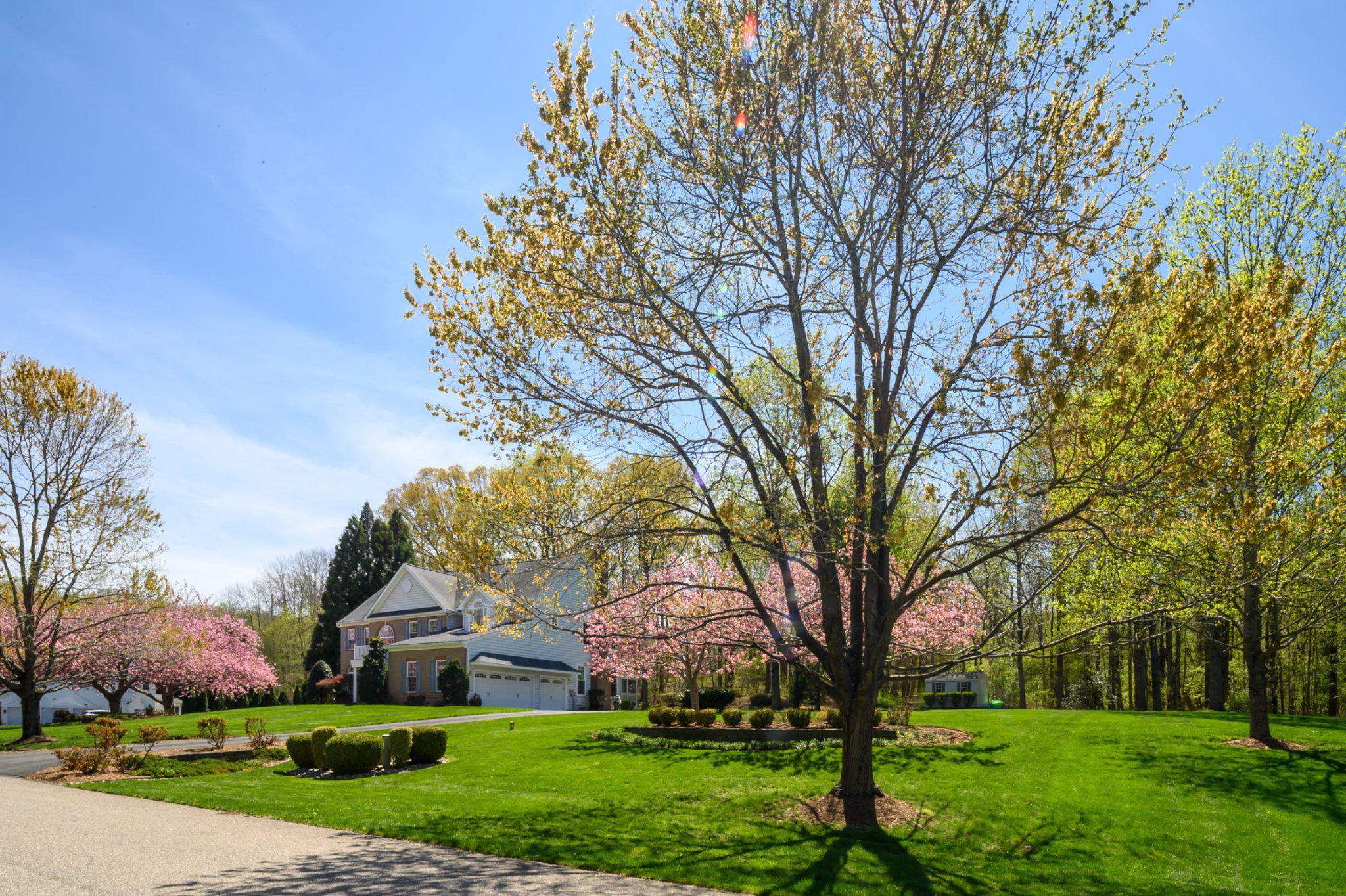 205 MAPLE CREEK LANE