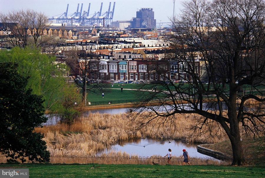 PATTERSON PARK - Residential