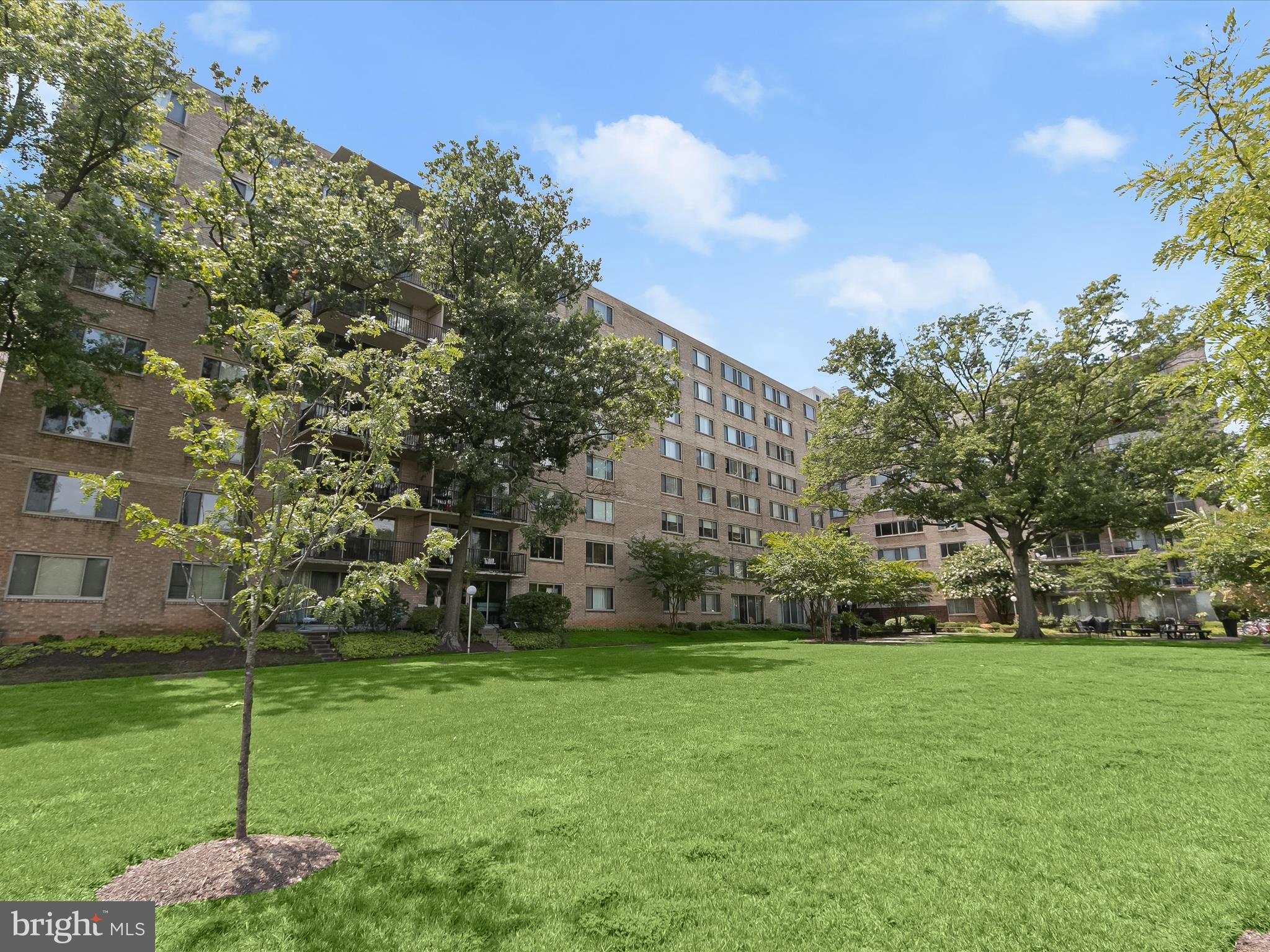 THE OGLETHORPE - Residential