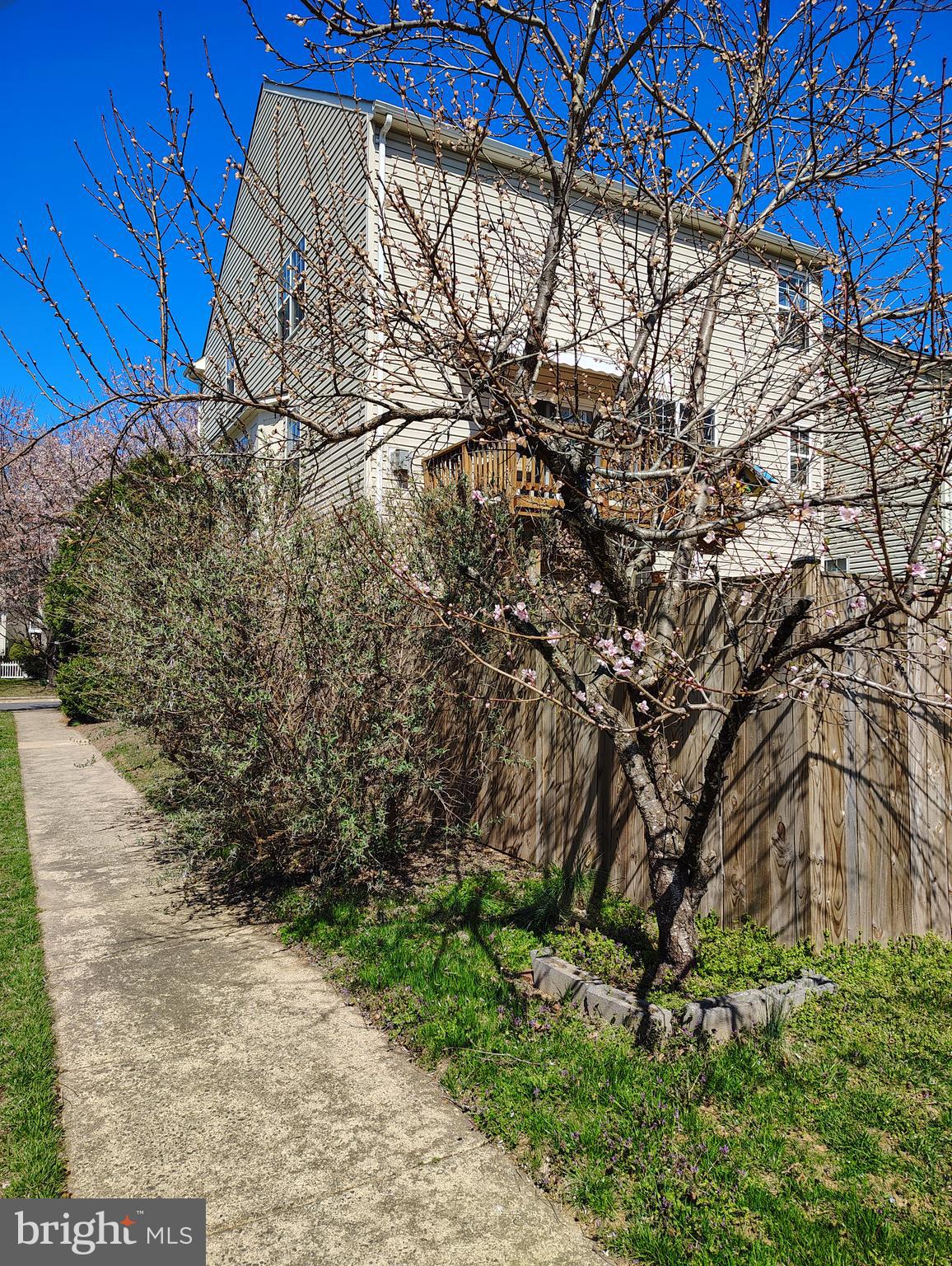 ROSEBERRY - Residential