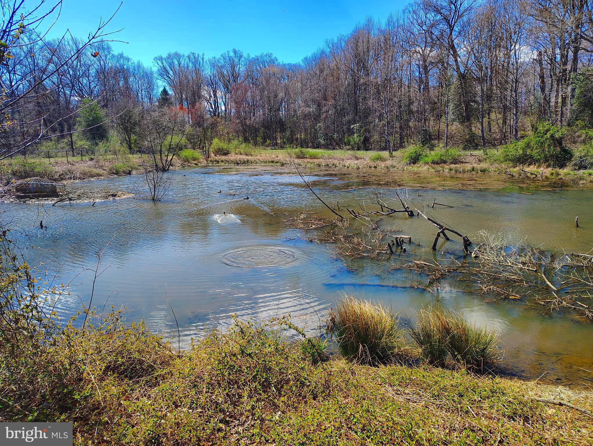 ROSEBERRY - Residential