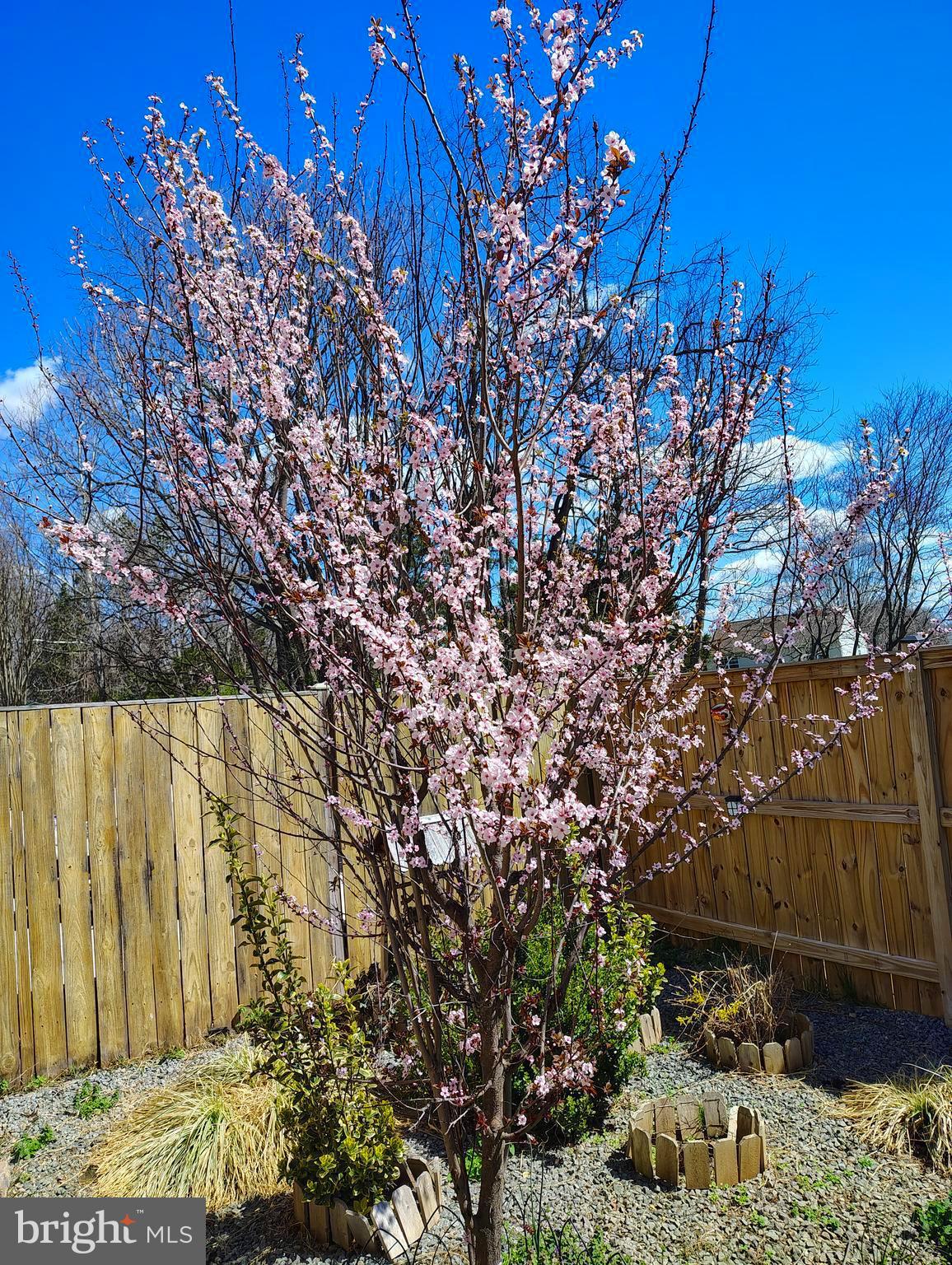 ROSEBERRY - Residential