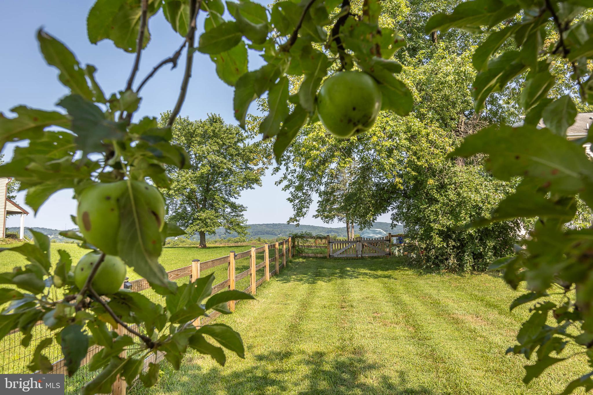 WEST FREDERICK HIGHLANDS - Residential