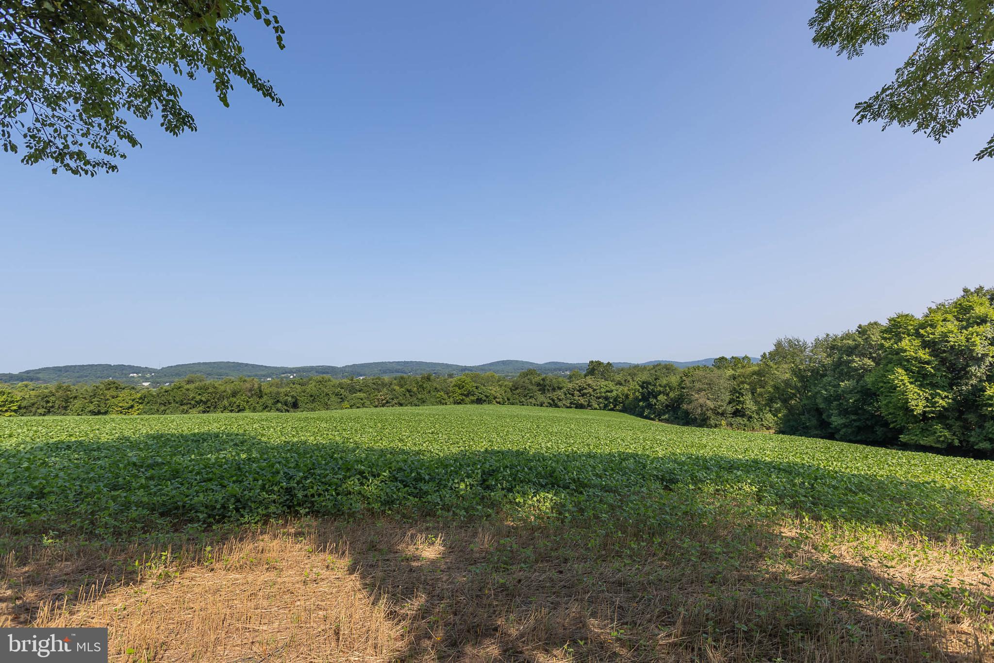 WEST FREDERICK HIGHLANDS - Residential
