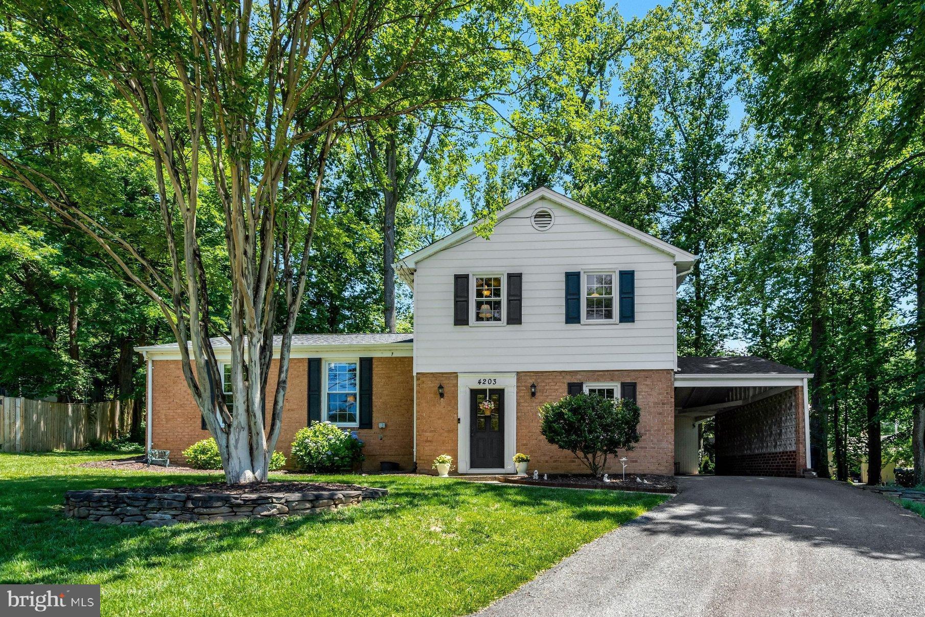 4203 KINGS MILL LANE
