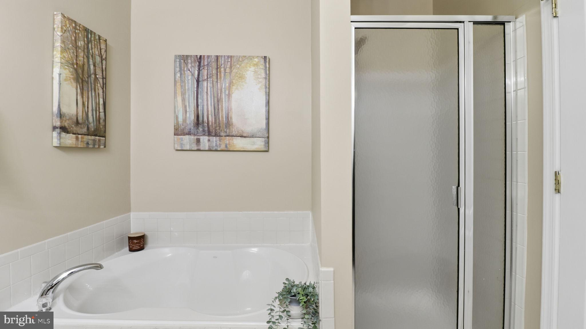 TOWN CENTER AT CAMP SPRINGS - Residential