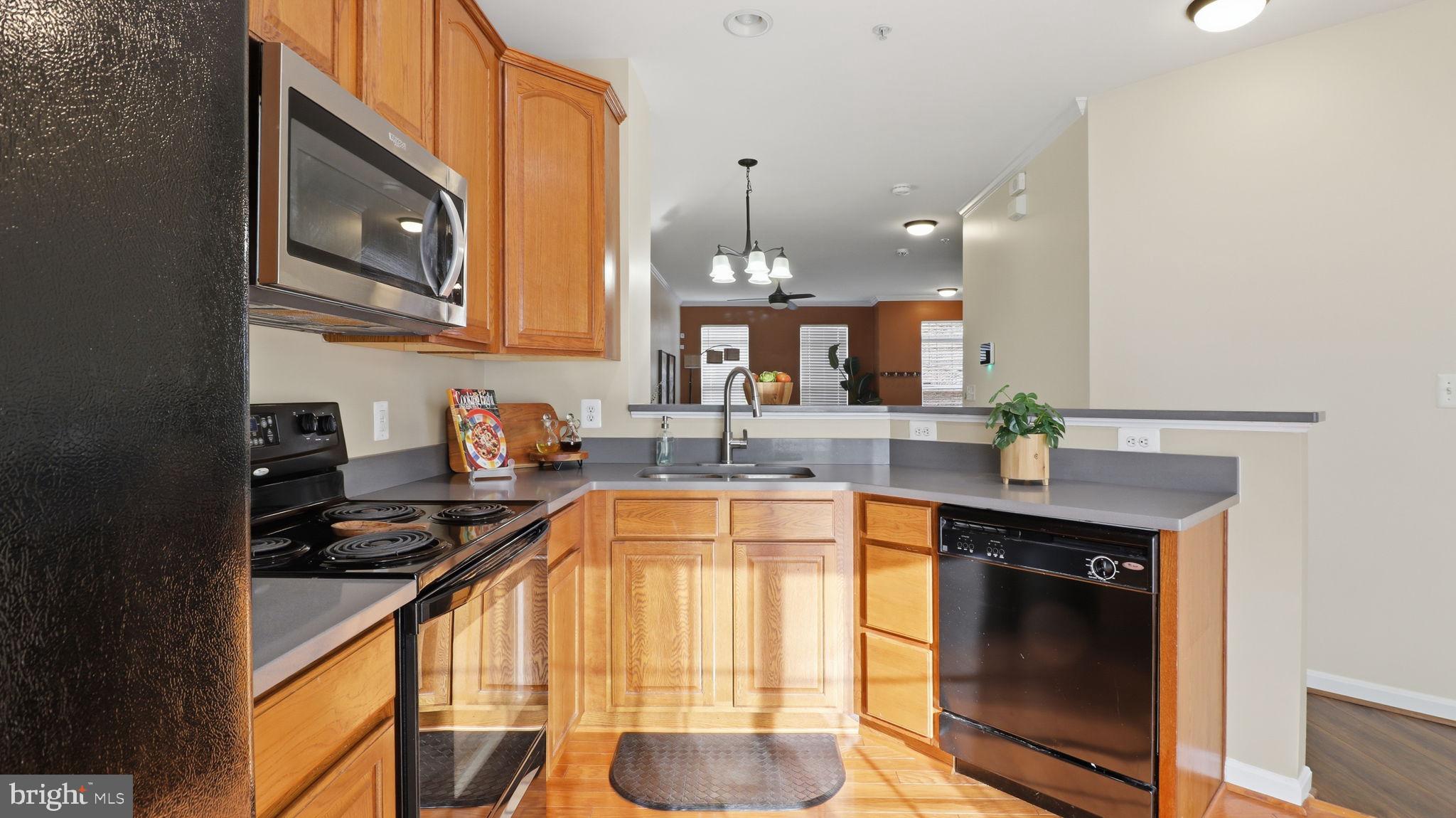 TOWN CENTER AT CAMP SPRINGS - Residential