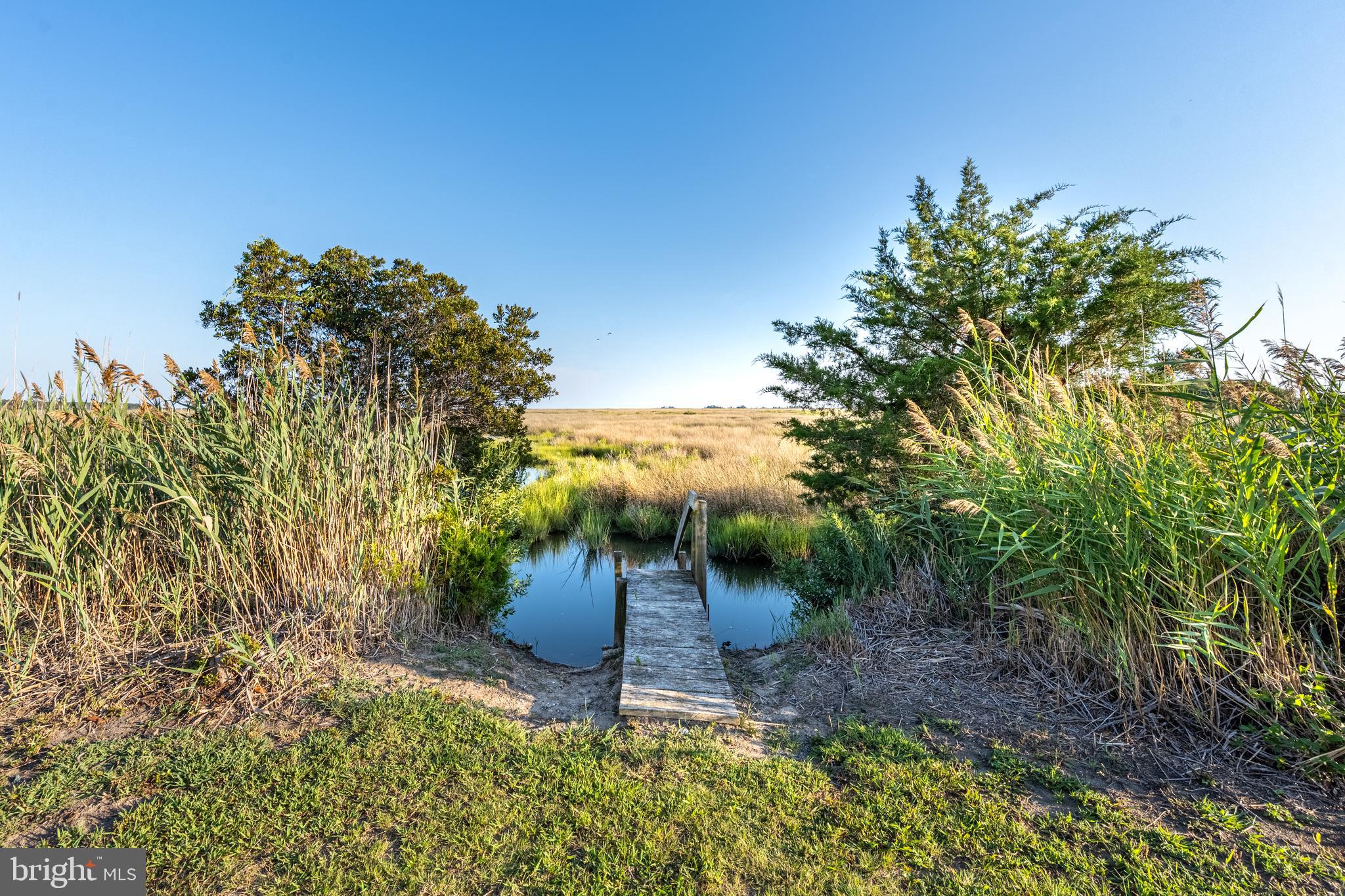14 HAMMOCK POINTE