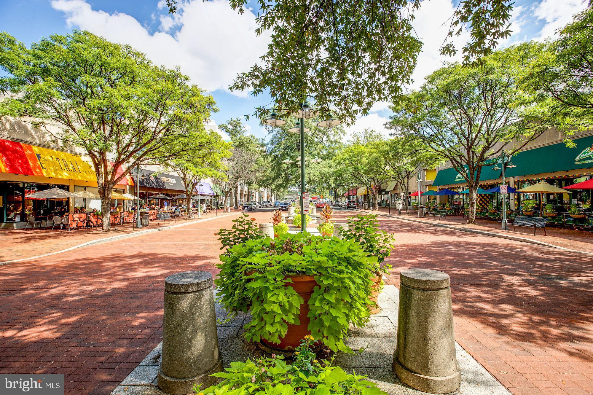 AUBURN VILLAGE - Residential