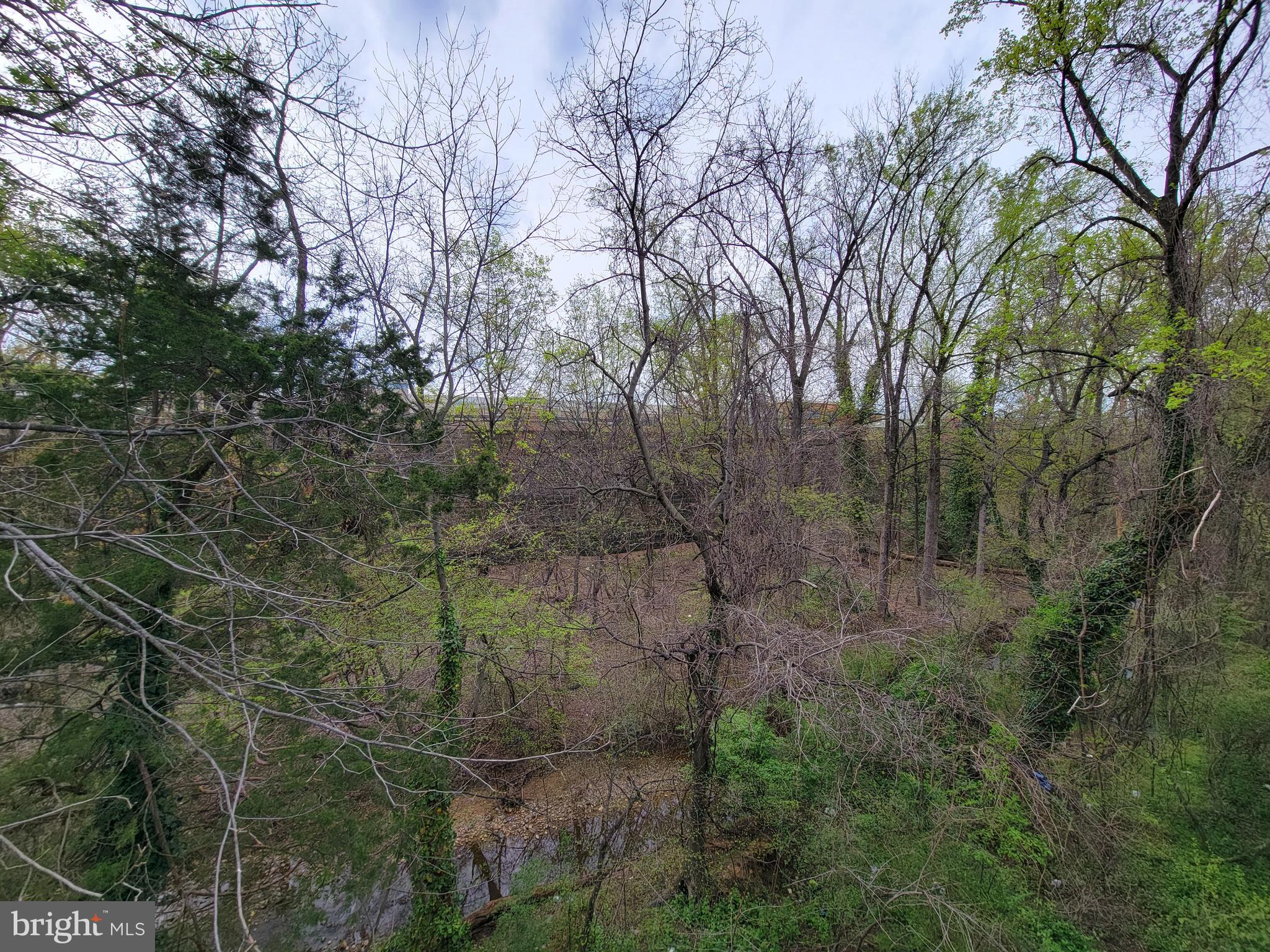 WILSON BRIDGE - Residential