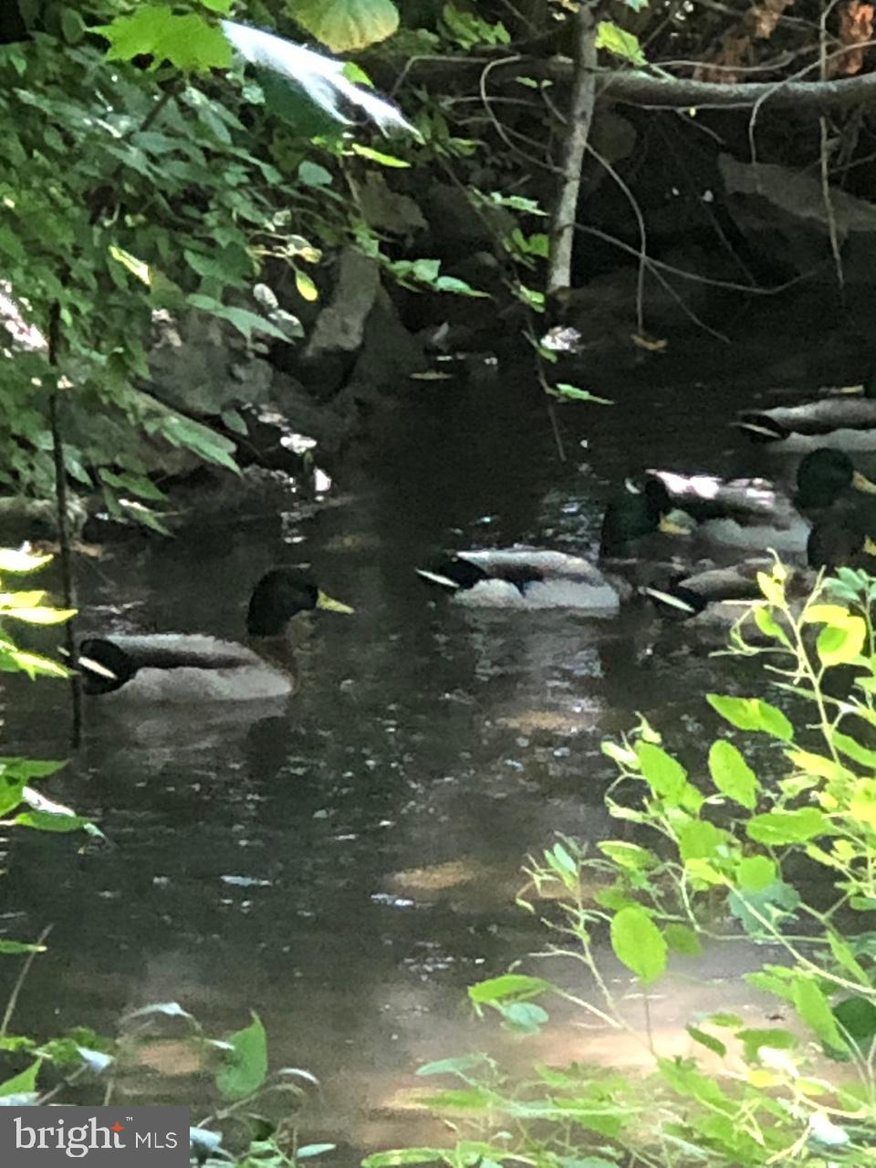 NORTH END - Residential Lease