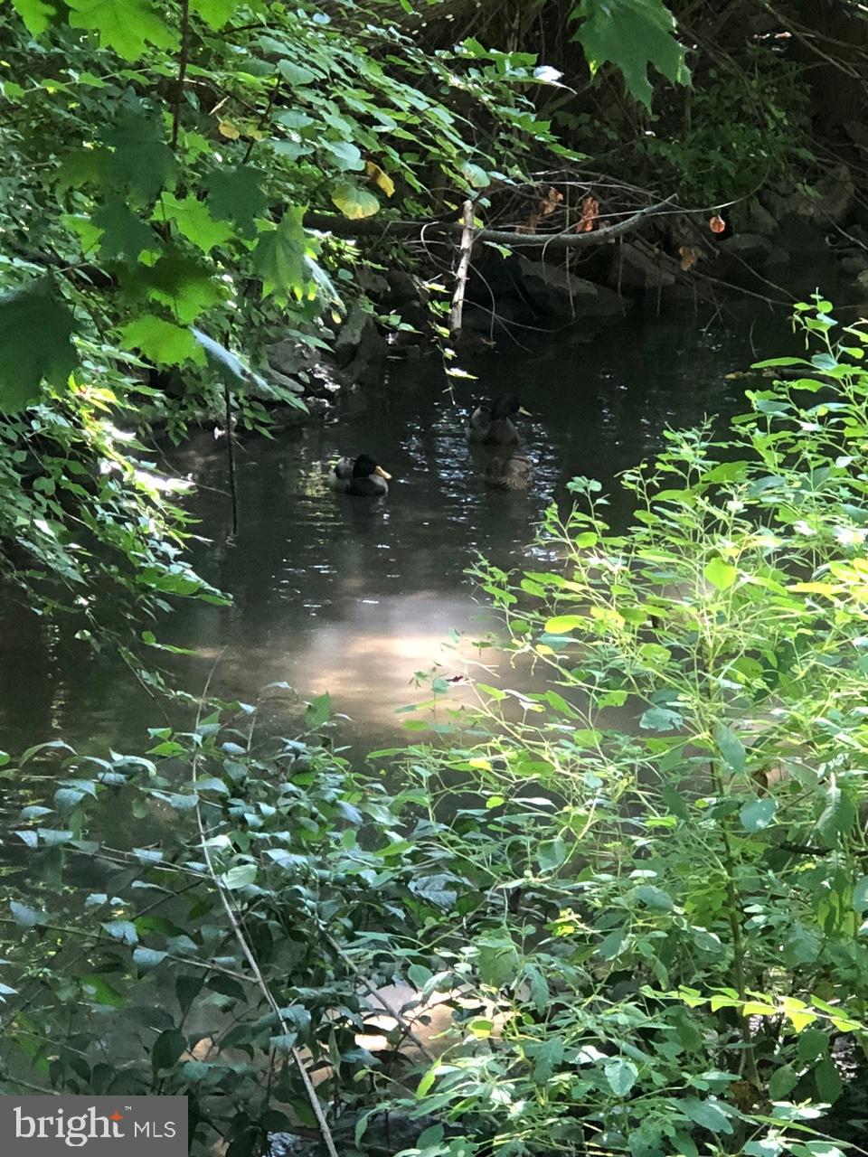 NORTH END - Residential Lease