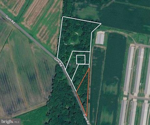 Vacant Land For Sale - Gum Rd<br/> FRANKFORD, DE 19975