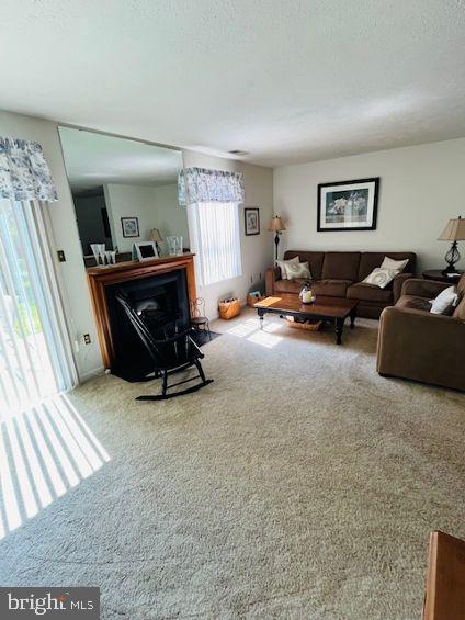 107 LAUREL COURT