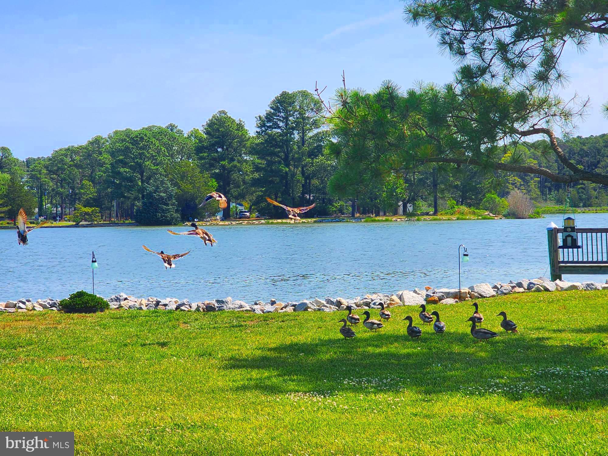 ANNEMESSEX RIDGE - Residential