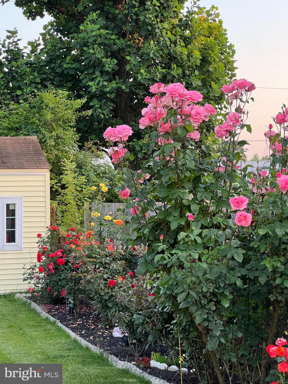 OAKVIEW - Residential