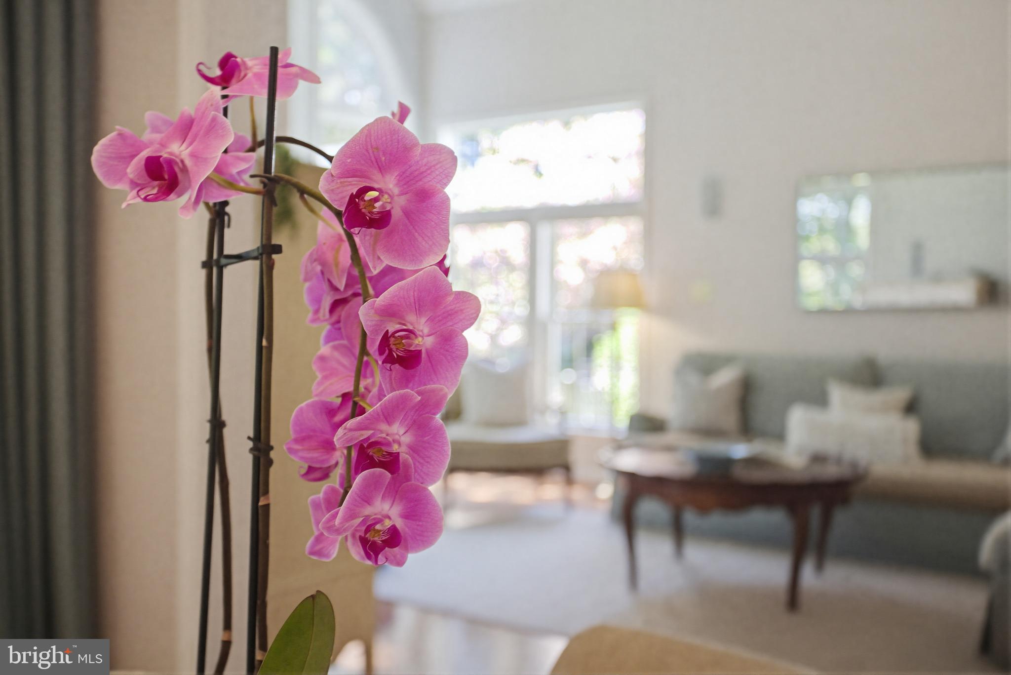 VILLAGE OF RIVER HILL - Residential