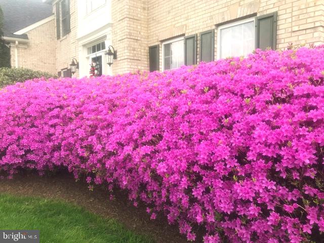 DENIT ESTATES - Residential