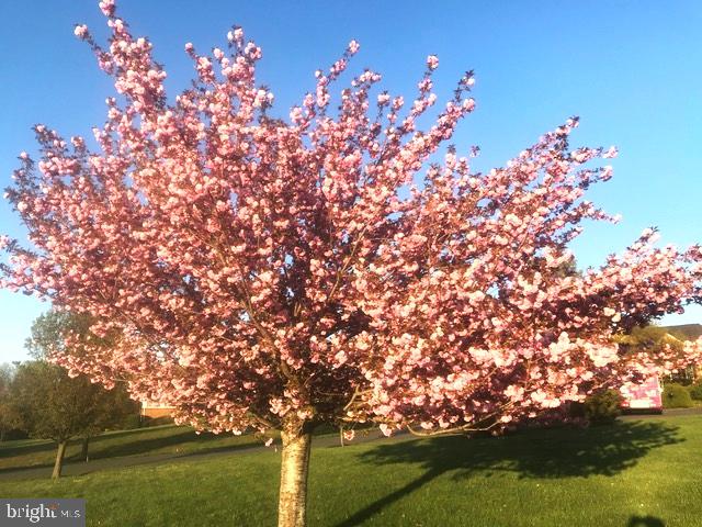 DENIT ESTATES - Residential