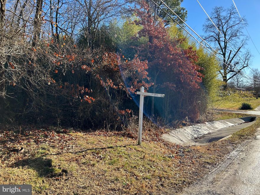 Build your dream home or make an investment on this one-acre, treed and level lot. Located on a peaceful street, yet still conveniently close to 210 and just 10 minutes from National Harbor and the MGM casino. RR zoning and surrounding homes selling for $500k+ make this a great opportunity not to be missed