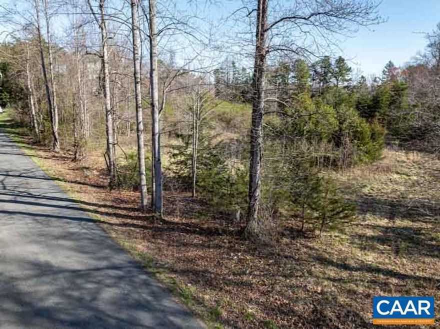 1.53 Acre property available now located in Louisa Co. VA .Level lot ready to build your forever home on. Conveniently located 10 minutes to Zion Crossroads and a 20 minute drive to Charlottesville VA.   Owner is Licensed Realtor in the State of VA.