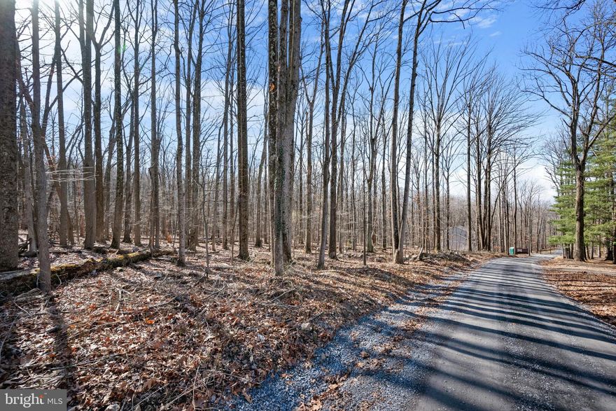 What an amazing, unrestricted 0.48-acre property just a short distance from Shannondale Lake! Build your dream home near Mountain Lake Club with the privacy of property in the woods and NO HOA. This lot backs to the Shannondale Springs Wildlife Management Area, assuring privacy as well as access to the
maintained walking trail and is just a 3-minute drive to the Mountain Lake Club House. Easy access to the Shenandoah River, Charles Town, Virginia and major commuting routes.