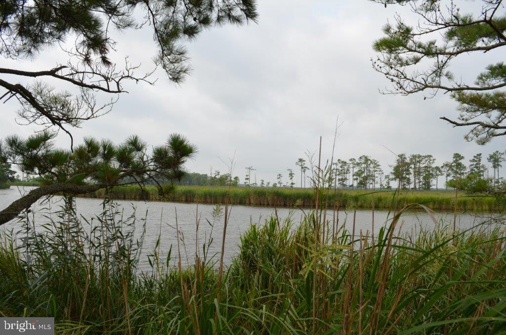 Two parcels (Parcel 36 and Parcel 19) of Tudor Farms with a total of over 270+/- acres. 173+/- acres with 10 impoundments with electric and water, several other ponds and marsh lands on the property with separate 97+/- acre parcel of woodland and sika habitat. Offering premier acres to world class deer and waterfowl hunting. Do not access the property without an appointment.