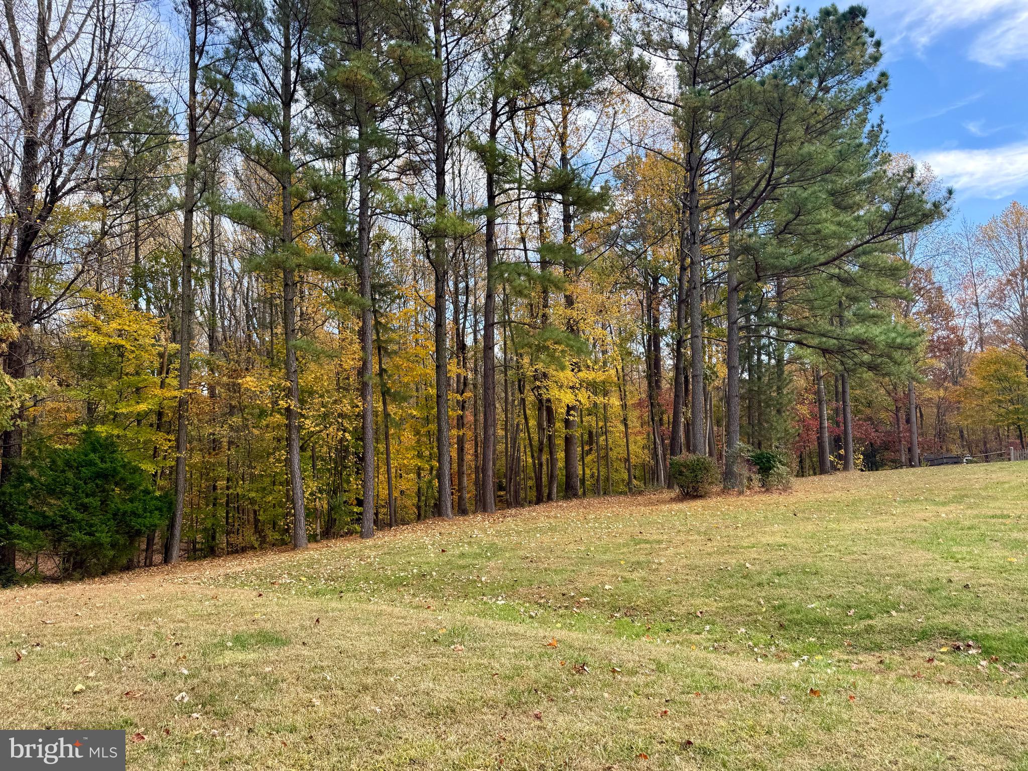 CEDAR GROVE FARM - Residential