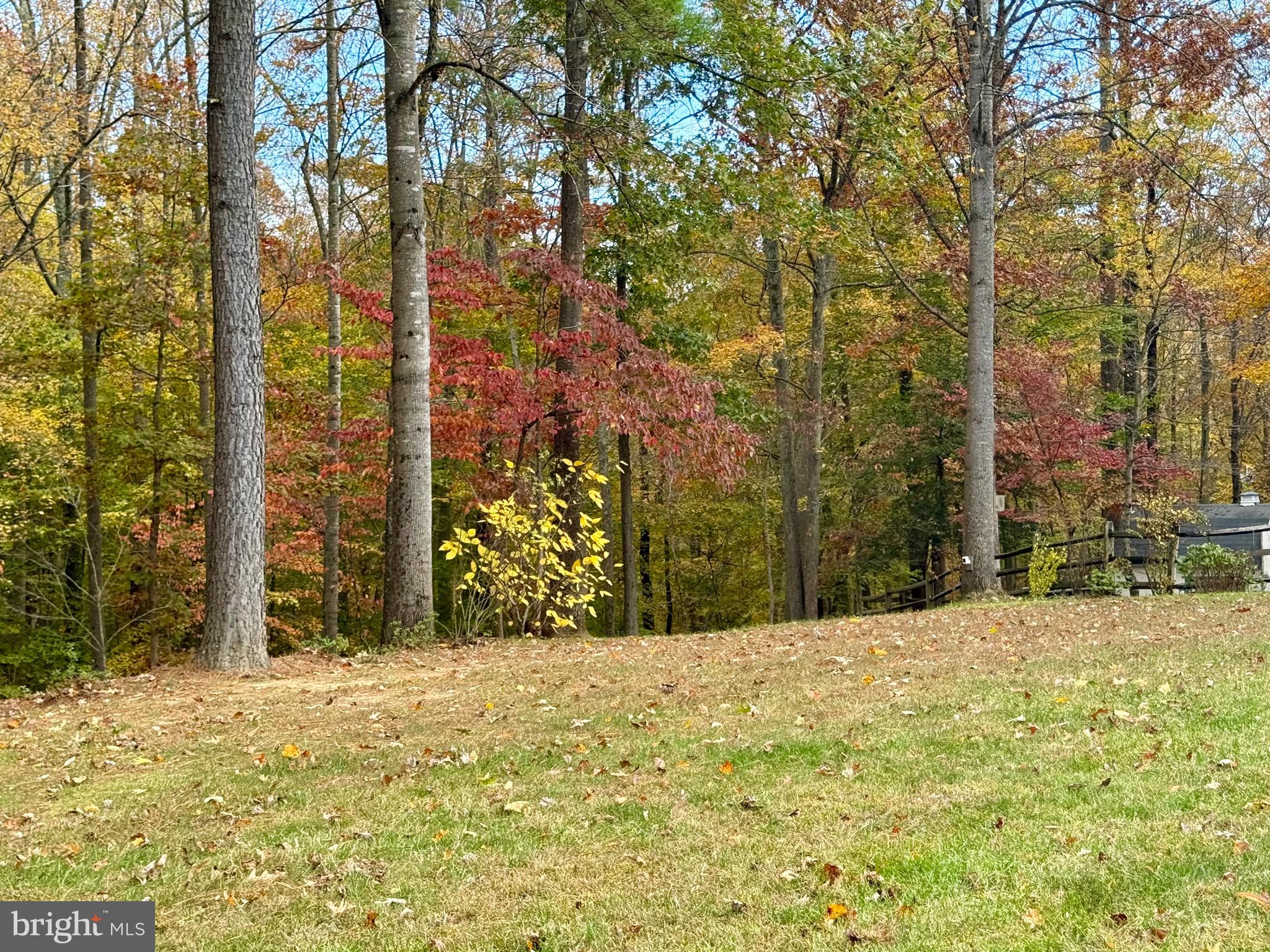 CEDAR GROVE FARM - Residential