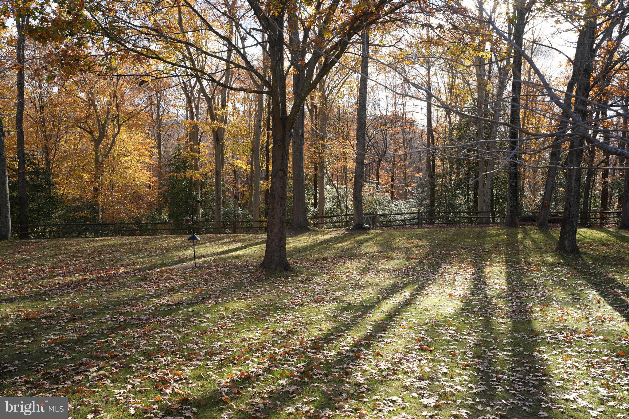 CEDAR GROVE FARM - Residential
