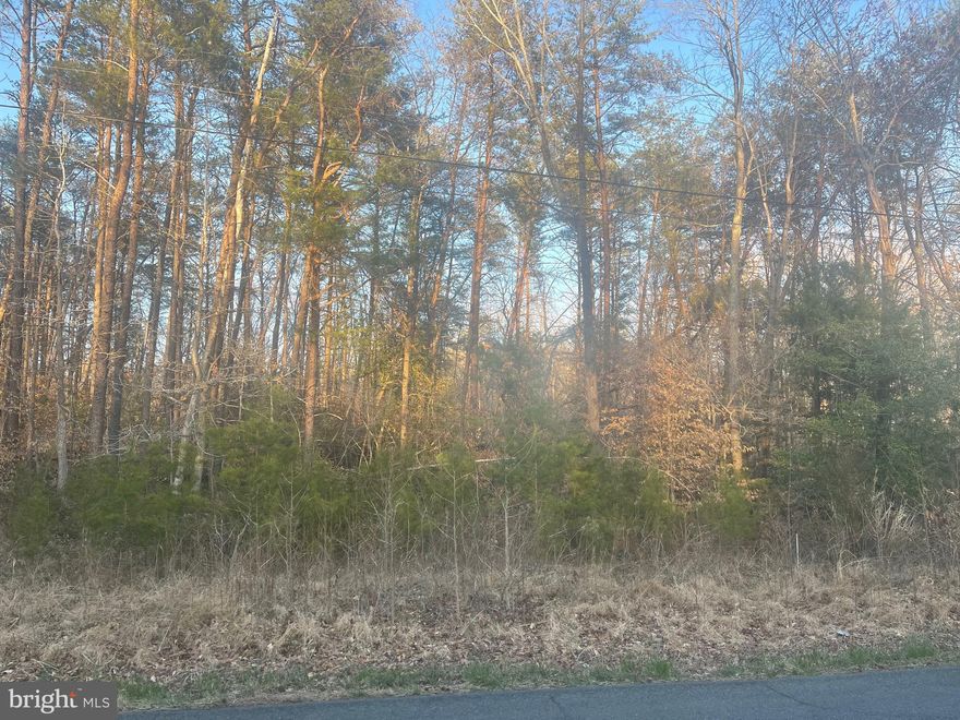 Huge potential with this 14.5 acre lot. Beautiful mature trees and easy access to Indian Head Hwy (RT 210). Use this lot for hunting or build your own custom house. This lot has plenty of privacy! If you are looking for a builder I can connect you with one that provides custom build service. Check this property out today!