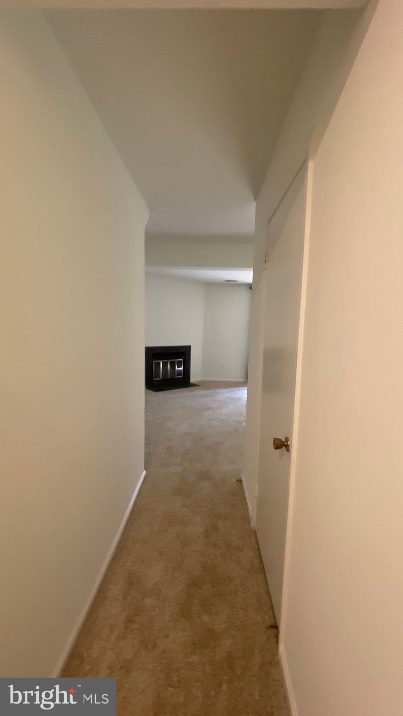 CLARY'S FOREST - Residential Lease