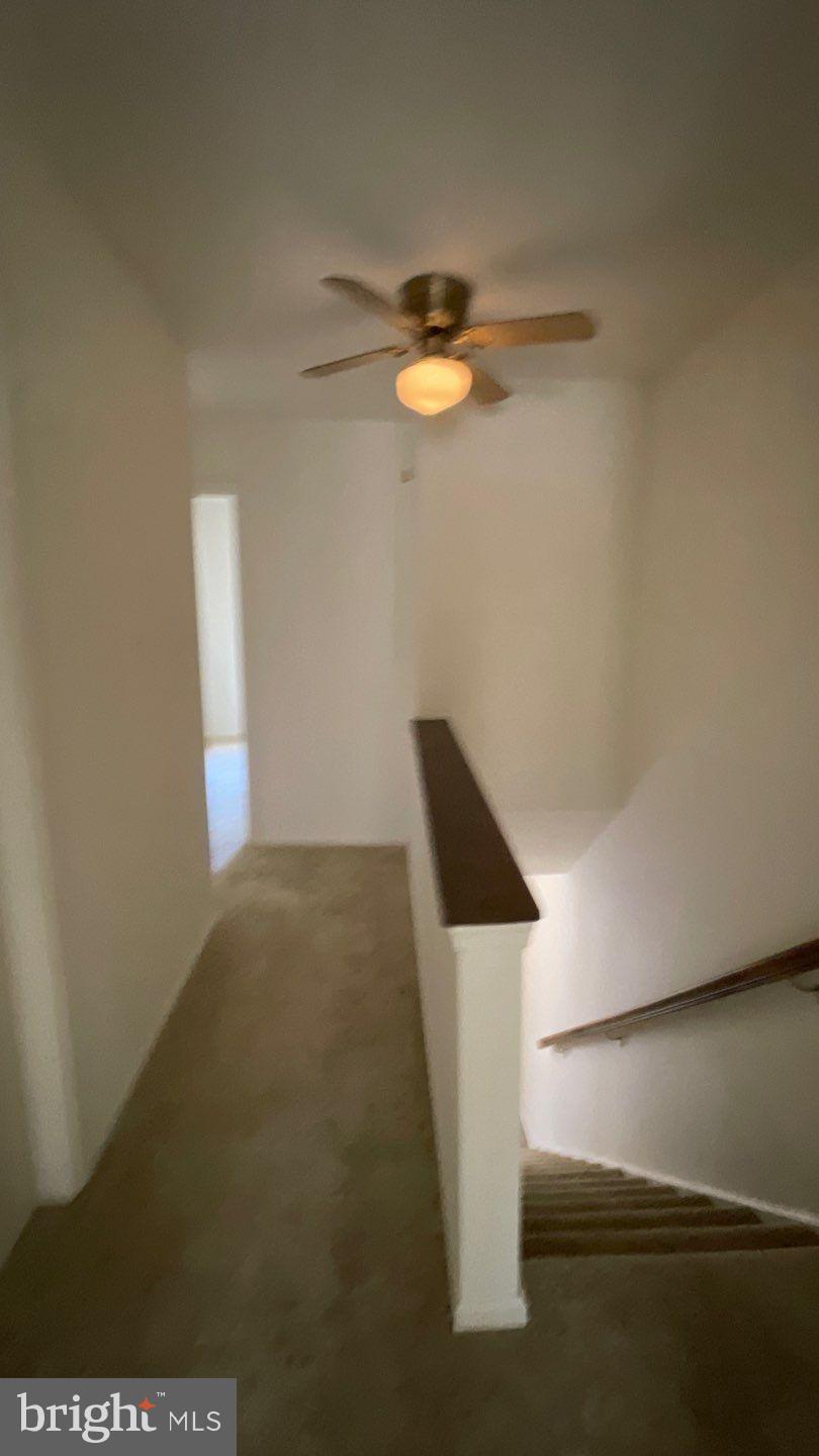 CLARY'S FOREST - Residential Lease