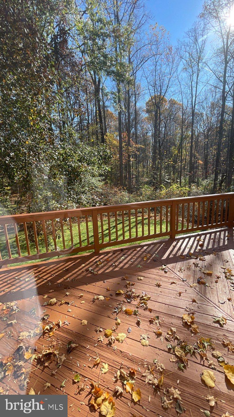 CLARY'S FOREST - Residential Lease