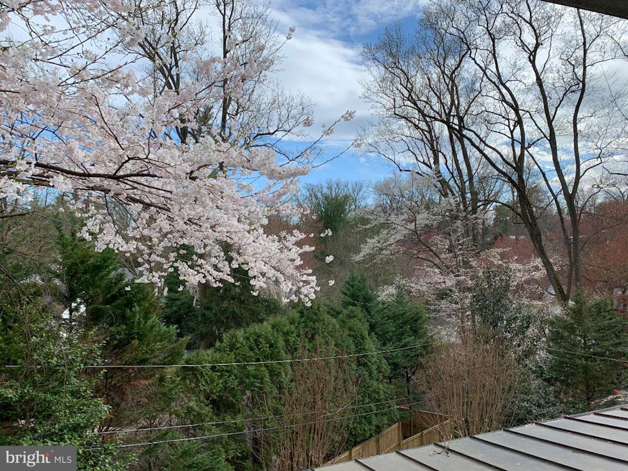 SPRING VALLEY - Residential