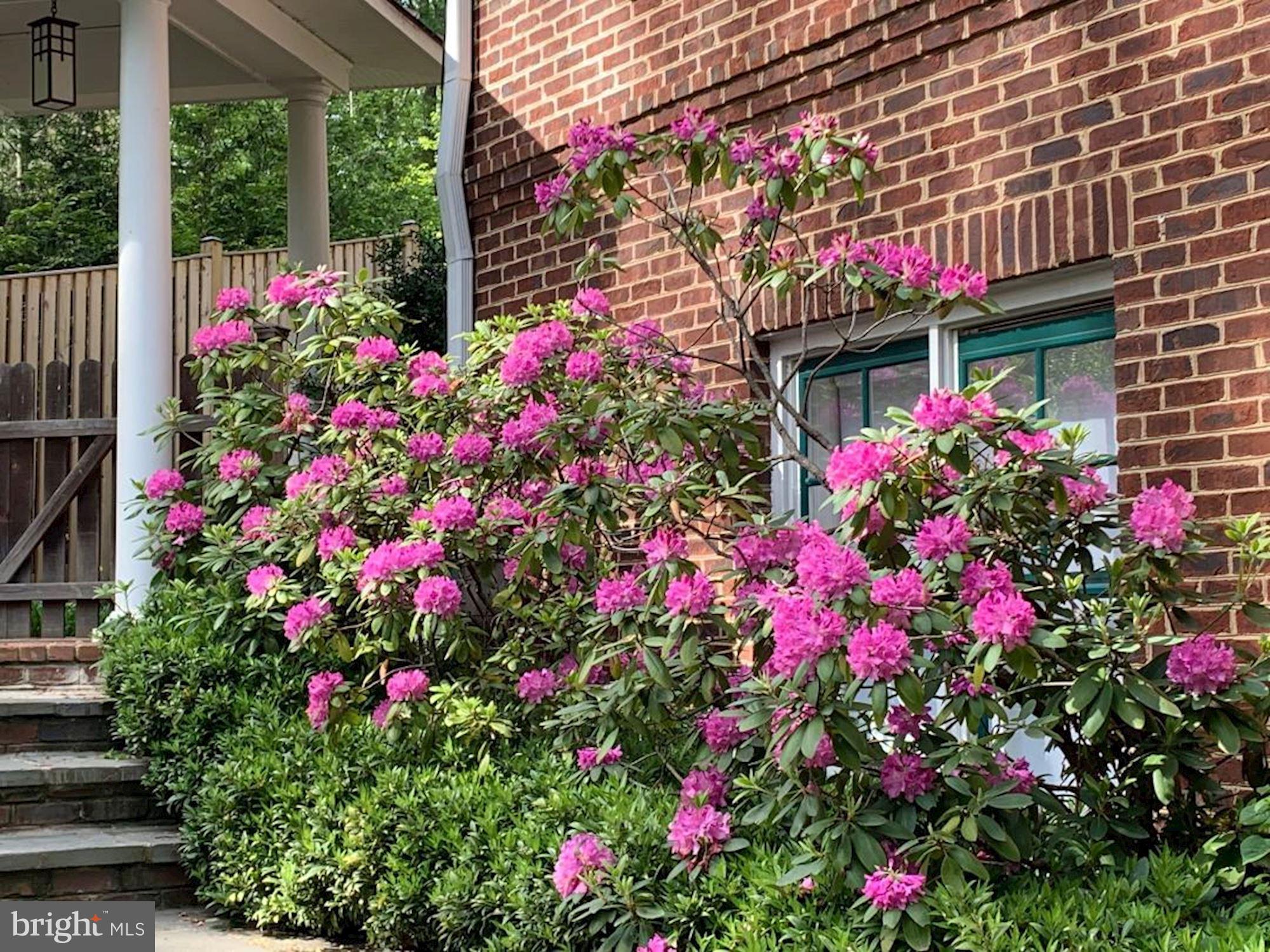 SPRING VALLEY - Residential