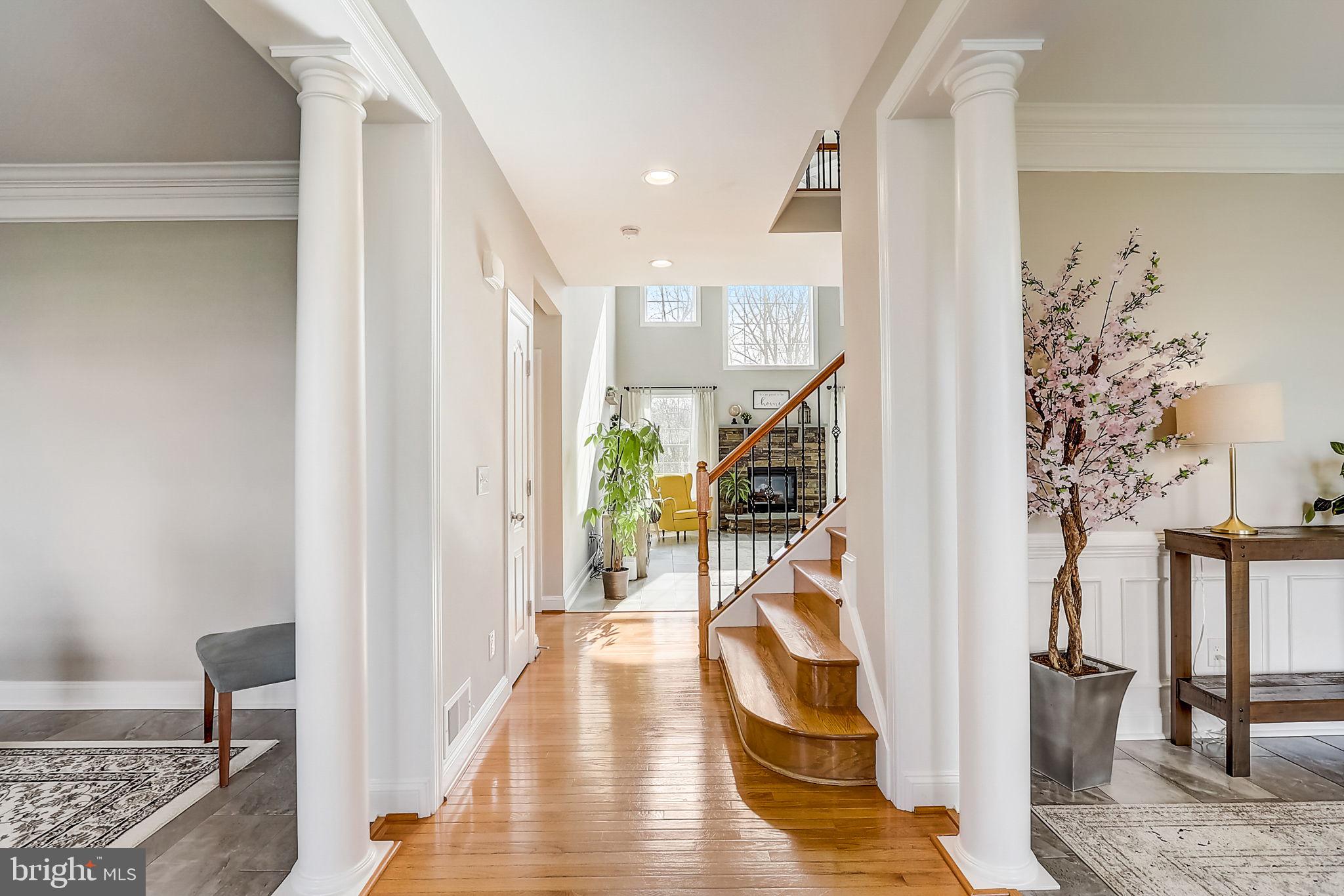 EWELLS MILL ESTATES - Residential