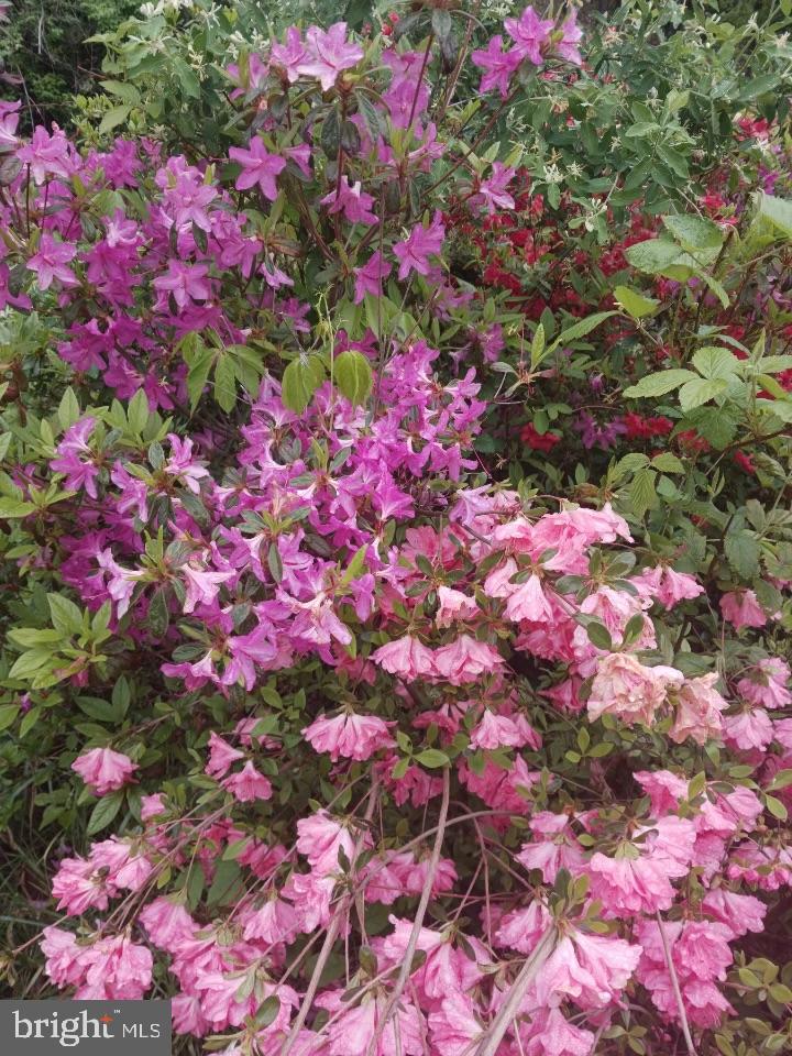 ROMNEY - Residential