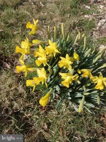 ROMNEY - Residential