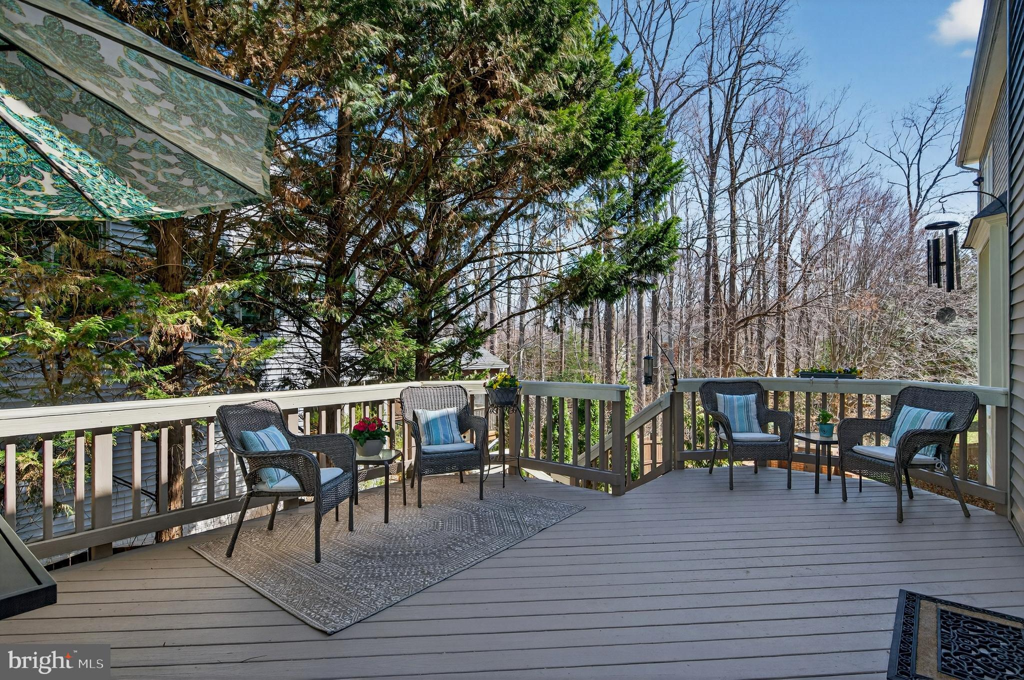 WOODS AT SOUTH RUN - Residential