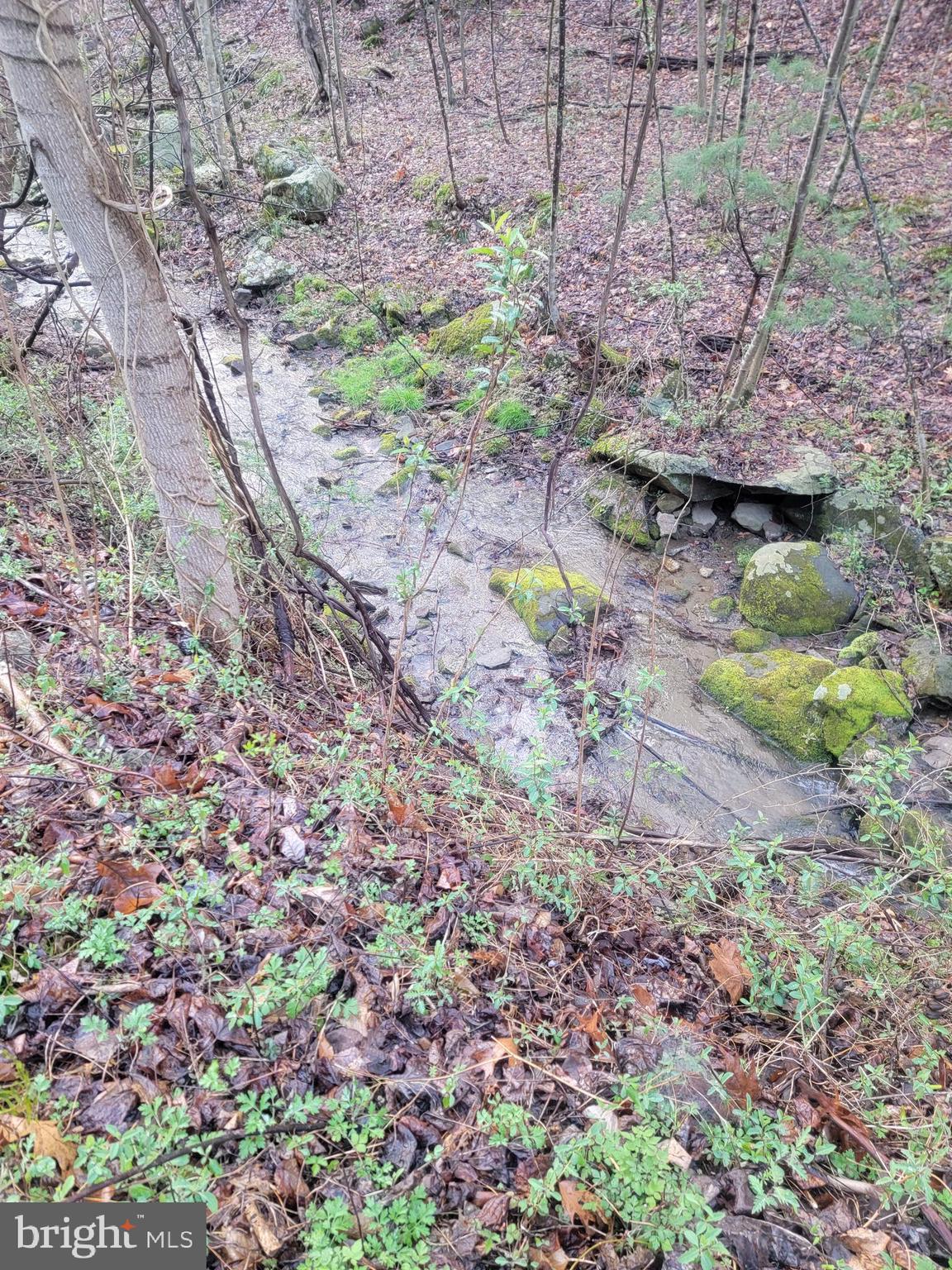 NONE AVAILABLE - Land