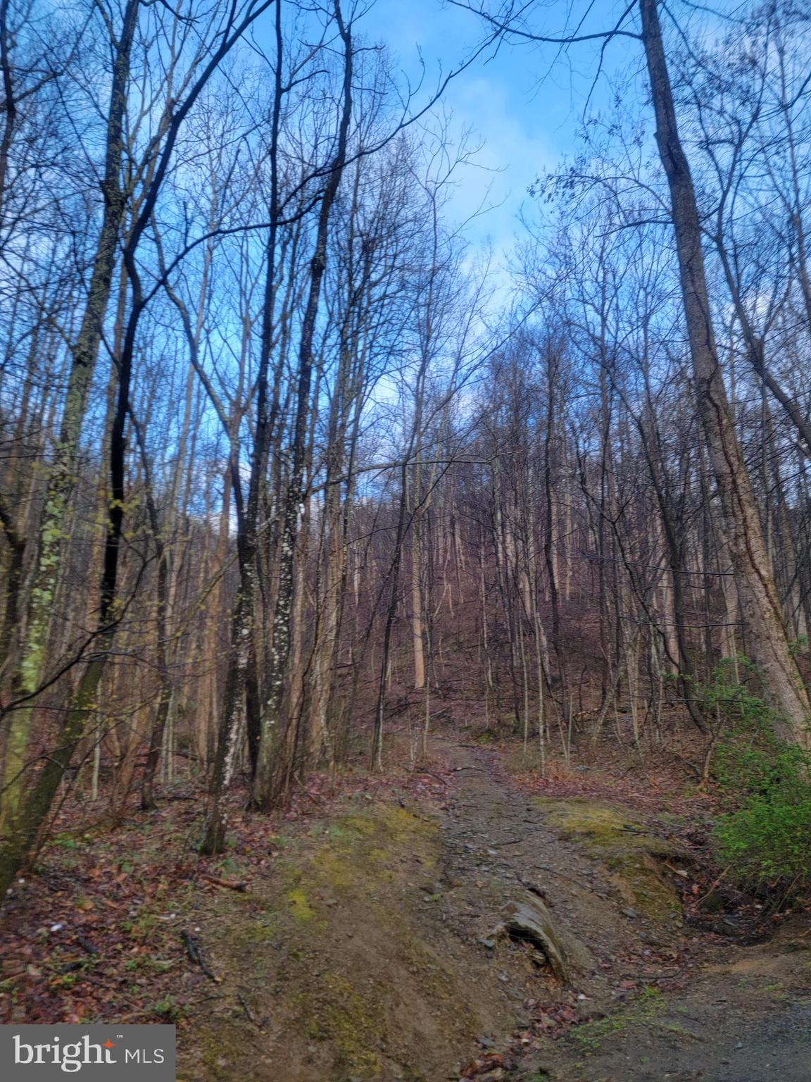 NONE AVAILABLE - Land