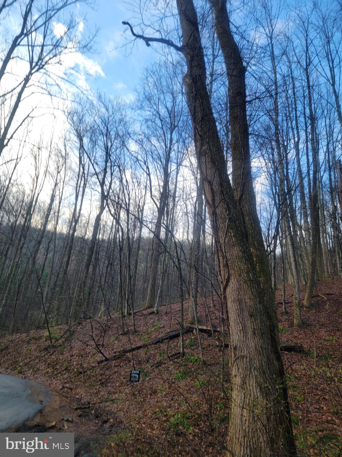 NONE AVAILABLE - Land